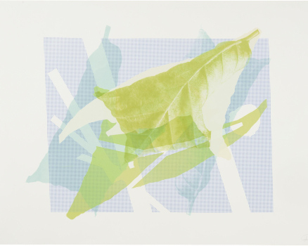 Silkscreen ink on Buetten, single work, 70 x 100 cm, 28 x 39 in., 2023