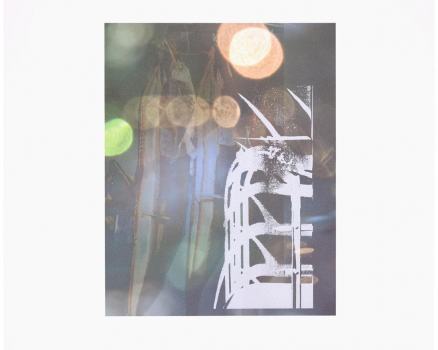 Silkscreen ink on Buetten, single work on digital photocollage, 76 x 56 cm, 29.9 x 22 in., 2014